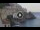 Webcam in Amalfi, 3.7 mi away