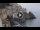 Webcam in Amalfi, 6.1 km