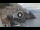Webcam in Amalfi, 3.7 mi away