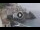 Webcam in Amalfi, 3.7 mi away