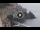 Webcam in Amalfi, 11.2 km