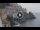 Webcam in Amalfi, 6.1 km entfernt