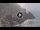 Webcam in Amalfi, 4.4 km