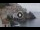 Webcam in Amalfi, 19.9 km