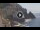 Webcam in Amalfi, 0 mi away