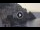 Webcam in Amalfi, 0.6 km entfernt
