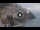 Webcam in Amalfi, 7.8 mi away
