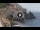 Webcam in Amalfi, 1.1 mi away