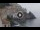 Webcam in Amalfi, 7.8 mi away
