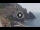 Webcam in Amalfi, 3.7 mi away