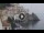 Webcam in Amalfi, 7.1 mi away