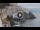 Webcam in Amalfi, 2.7 mi away