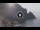 Webcam in Amalfi, 9.5 km