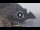 Webcam in Amalfi, 0.3 mi away