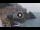Webcam in Amalfi, 6.9 mi away