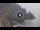 Webcam in Amalfi, 0.8 km entfernt