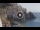 Webcam in Amalfi, 2.7 mi away