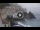 Webcam in Amalfi, 20.1 km