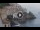 Webcam in Amalfi, 3.7 mi away