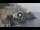 Webcam in Amalfi, 3.7 mi away