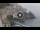 Webcam in Amalfi, 20.2 km