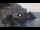 Webcam in Amalfi, 4.5 mi away