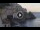 Webcam in Amalfi, 7.8 mi away