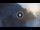Webcam in Amalfi, 3.7 mi away