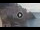 Webcam in Amalfi, 7.8 mi away