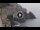 Webcam in Amalfi, 11.6 km