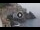 Webcam in Amalfi, 3.7 mi away