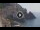 Webcam in Amalfi, 7.8 mi away
