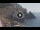 Webcam in Amalfi, 20.2 km