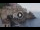 Webcam in Amalfi, 0.7 km
