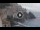 Webcam in Amalfi, 0 mi away