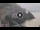Webcam in Amalfi, 5.6 mi away