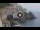 Webcam in Amalfi, 9.5 km