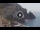 Webcam in Amalfi, 3 km