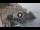 Webcam in Amalfi, 12.9 km