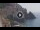 Webcam in Amalfi, 9.5 km entfernt