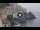 Webcam in Amalfi, 2.9 km entfernt