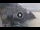 Webcam in Amalfi, 14.2 mi away