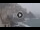 Webcam in Amalfi, 4.5 mi away