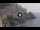 Webcam in Amalfi, 0.6 km entfernt