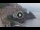 Webcam in Amalfi, 3.7 mi away