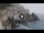 Webcam in Amalfi, 0.1 km entfernt