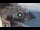 Webcam in Amalfi, 0.1 km