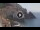 Webcam in Amalfi, 17.4 km