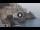 Webcam in Amalfi, 3.7 mi away