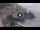 Webcam in Amalfi, 3.7 mi away